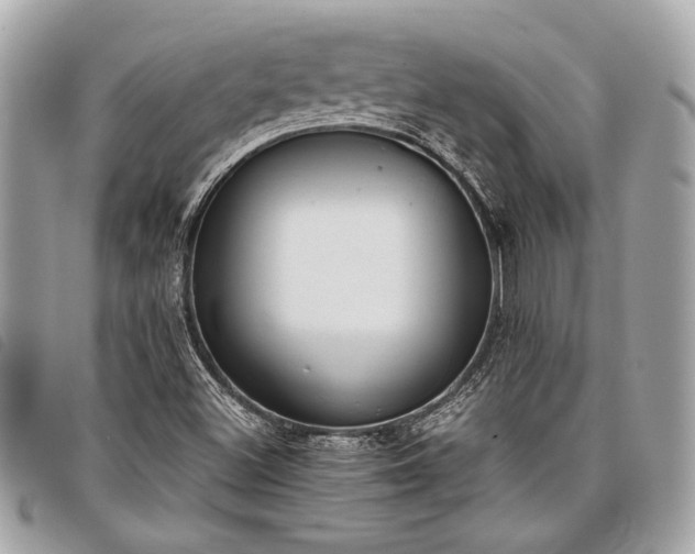 X0000098021500200804071340