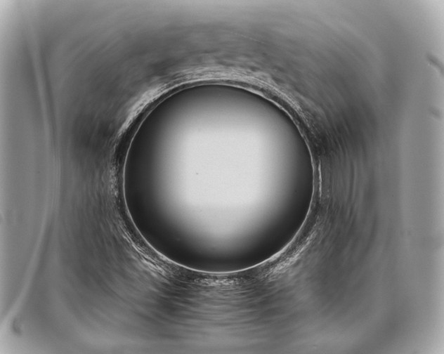 X0000098021501200804071340