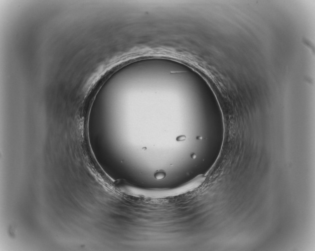 X0000098021503200804071340