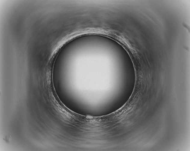 X0000098021504200804071340