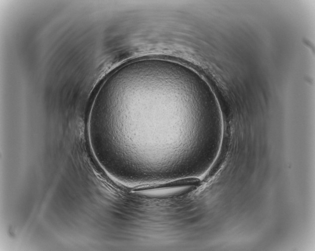 X0000098021505200804071340