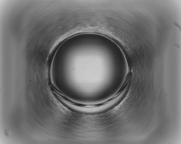 X0000098021506200804071340