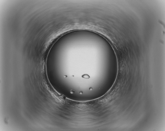 X0000098021507200804071340