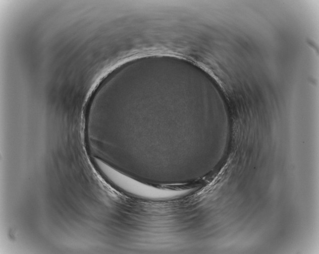 X0000098021508200804071340