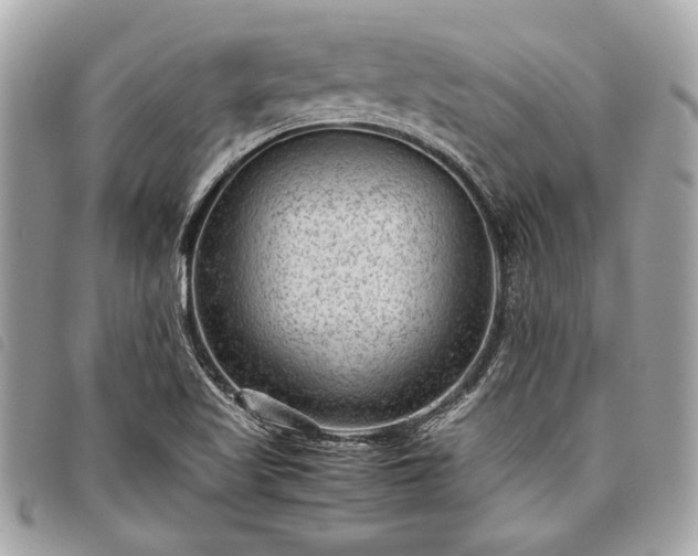 X0000098021509200804071340