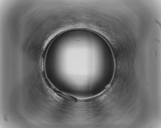 X0000098021510200804071340