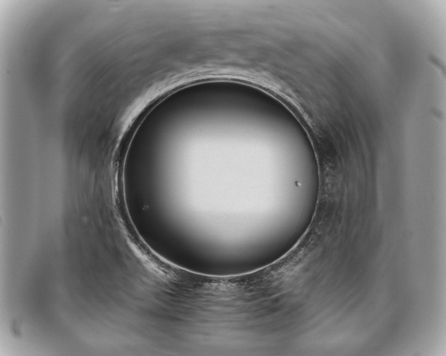 X0000098021511200804071340