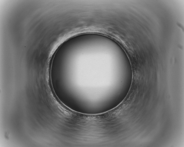 X0000098021512200804071340