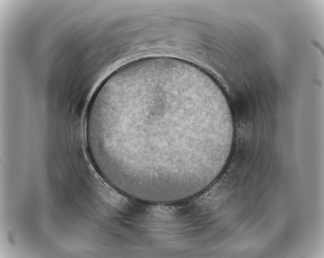 X0000098021514200804071340