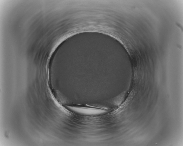 X0000098021515200804071340