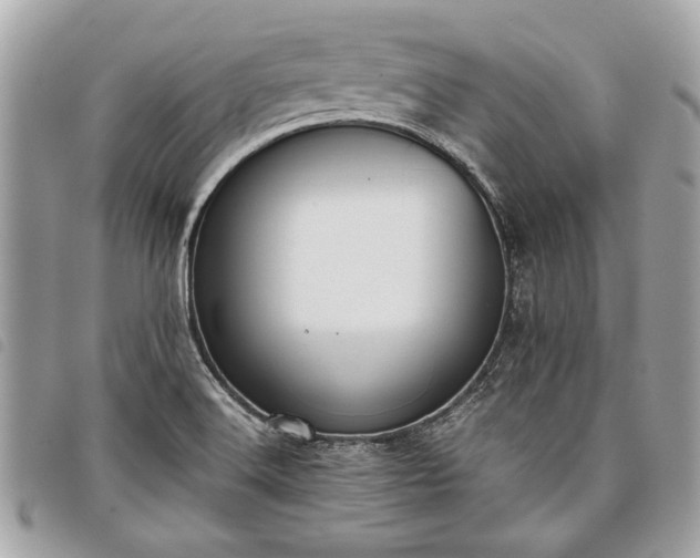 X0000098021516200804071340