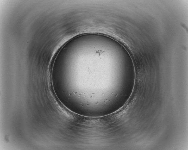 X0000098021517200804071340