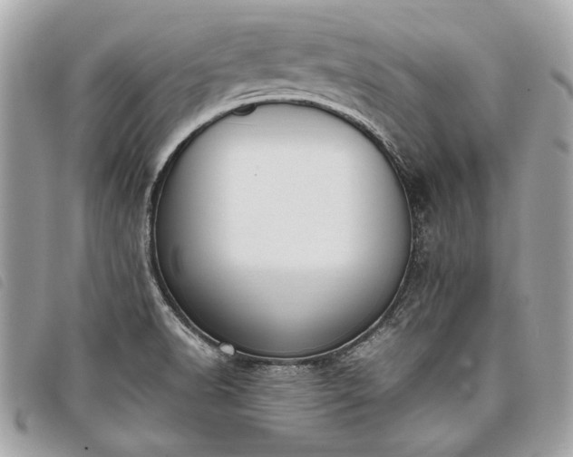 X0000098021518200804071341