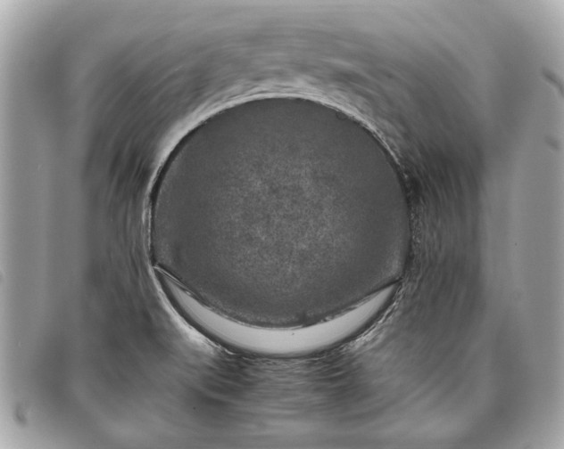 X0000098021519200804071341