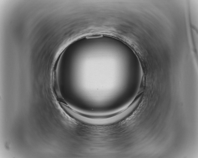 X0000098021520200804071341