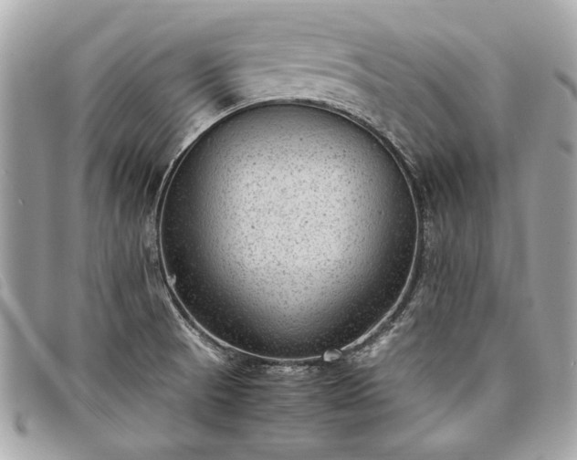 X0000098021521200804071341