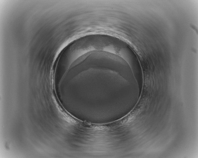 X0000098021522200804071341