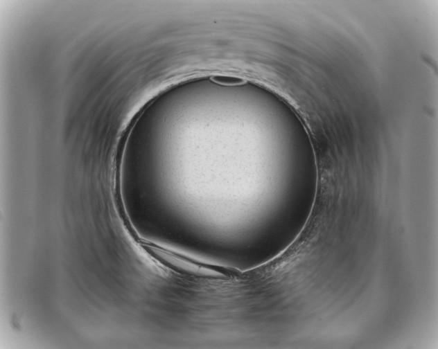 X0000098021523200804071341