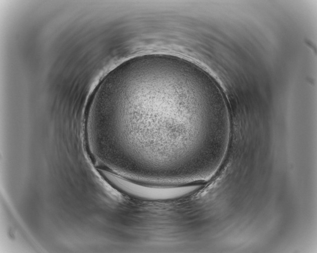 X0000098021525200804071341