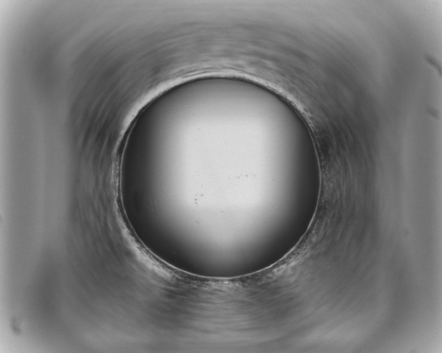 X0000098021526200804071341