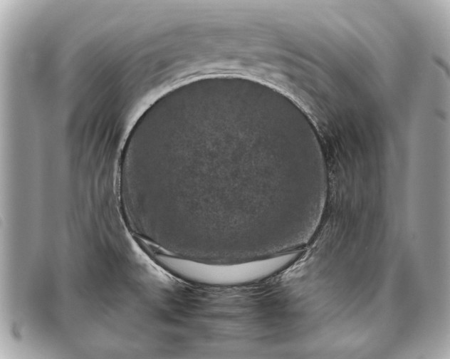 X0000098021527200804071341