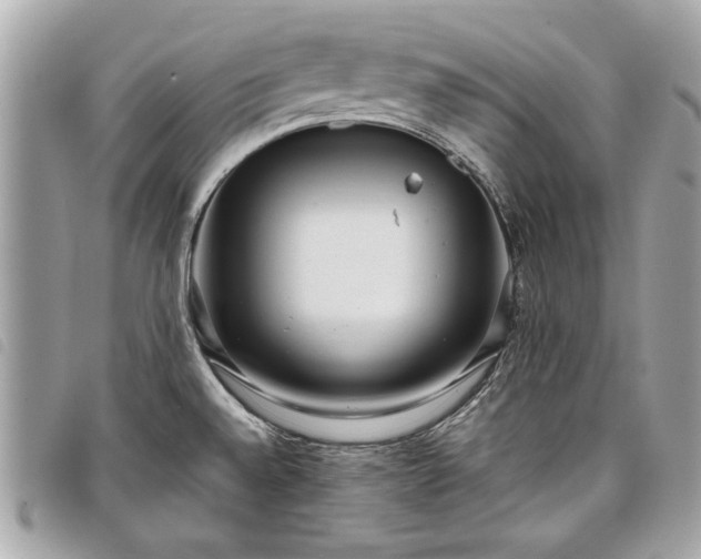 X0000098021528200804071341