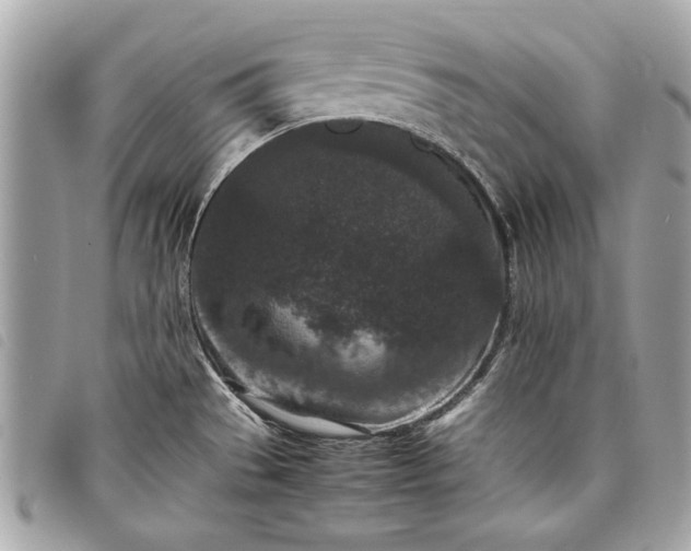 X0000098021529200804071341