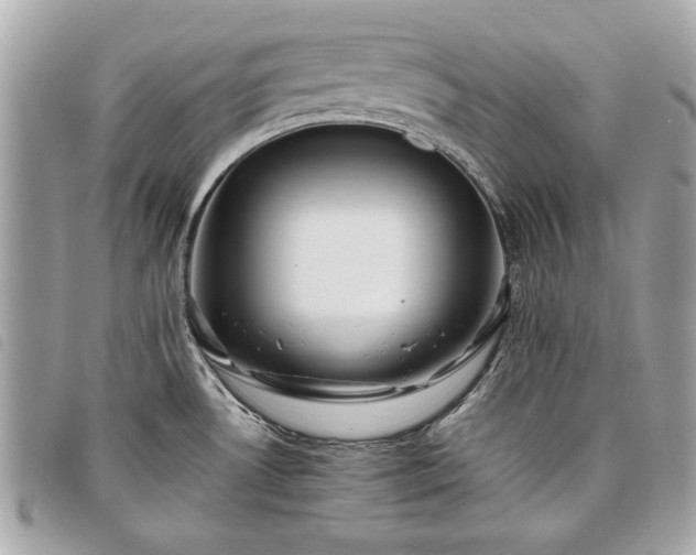 X0000098021530200804071341