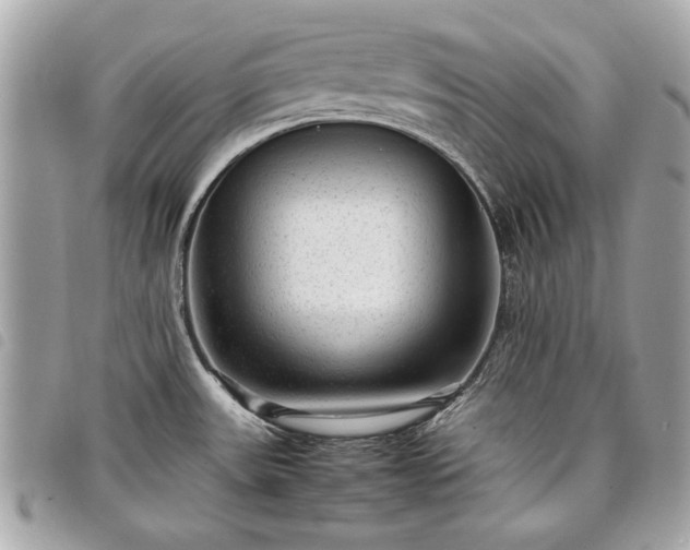 X0000098021531200804071341