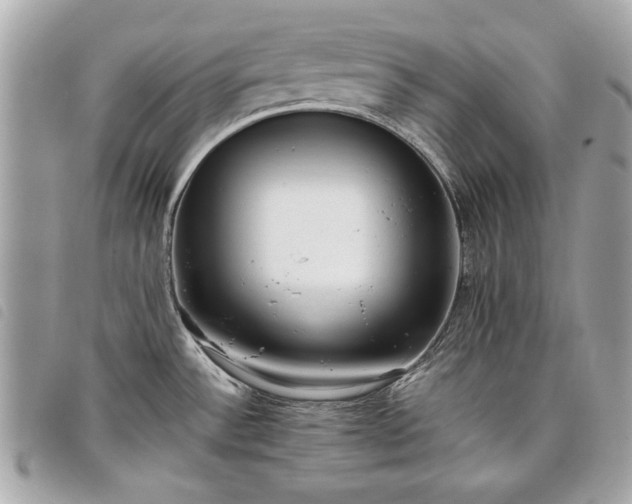 X0000098021532200804071341