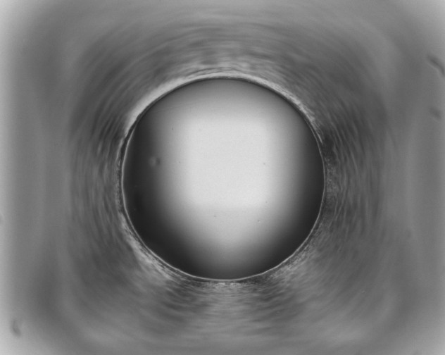 X0000098021534200804071341