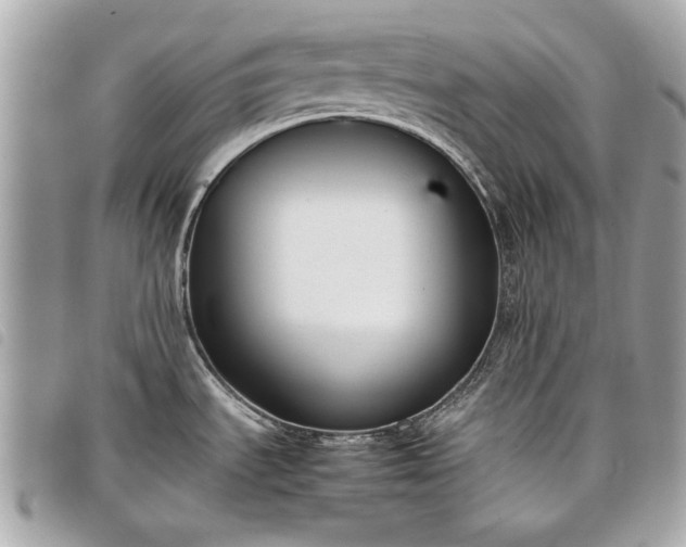 X0000098021535200804071341