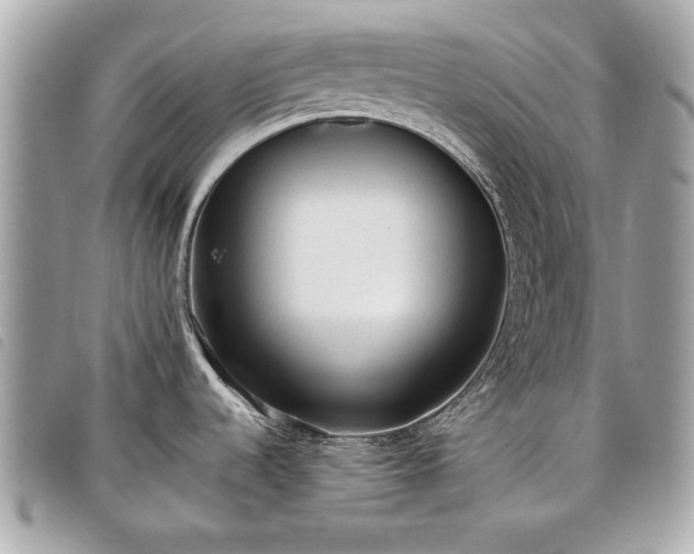 X0000098021536200804071341