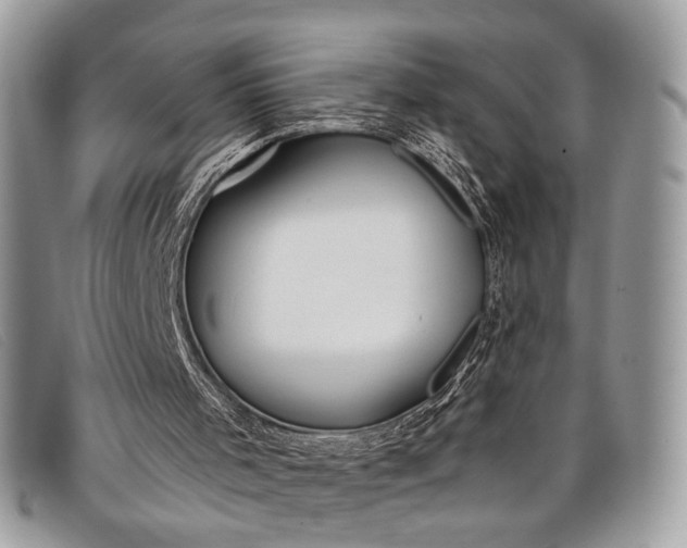 X0000098020001200804111309