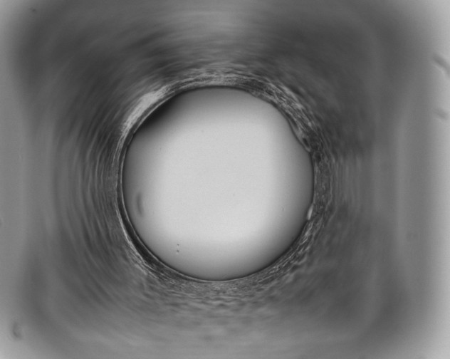 X0000098020003200804111309