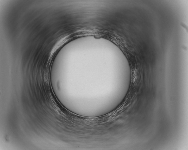 X0000098020004200804111309