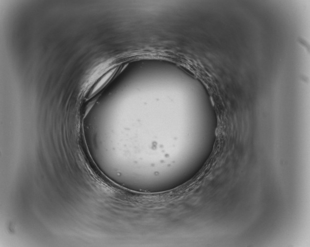 X0000098020005200804111309