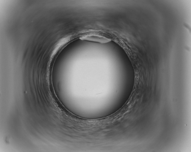 X0000098020006200804111309