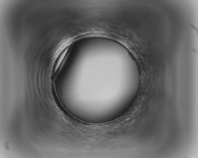 X0000098020007200804111309