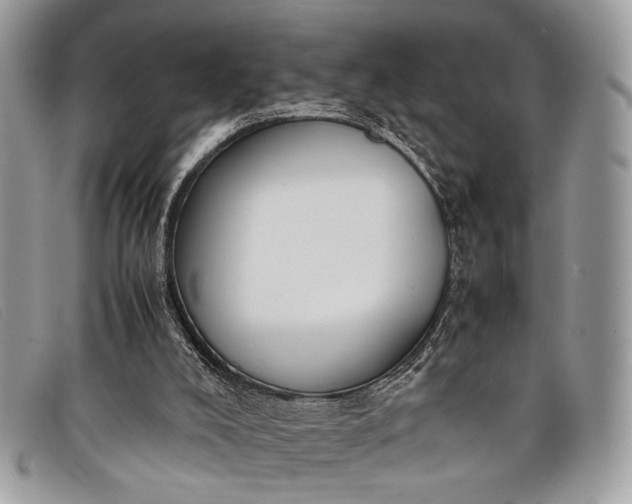 X0000098020008200804111309