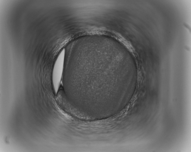 X0000098020009200804111309