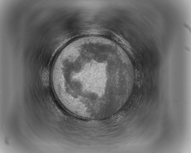 X0000098020012200804111309