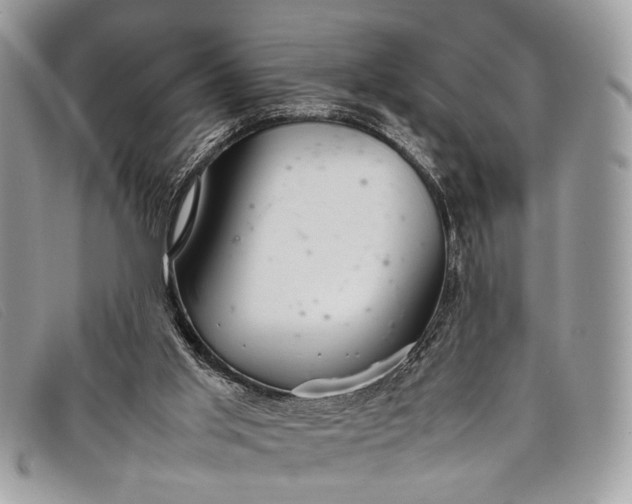 X0000098020013200804111309