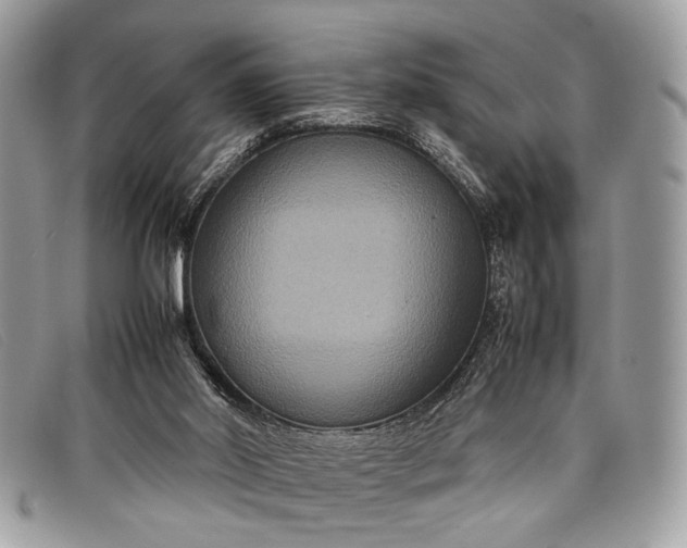 X0000098020014200804111309