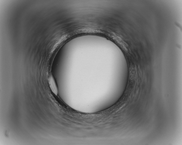 X0000098020015200804111309