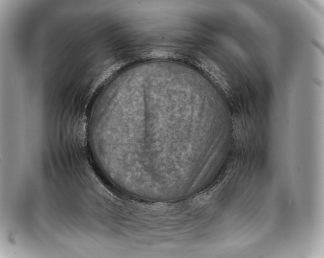 X0000098020016200804111309