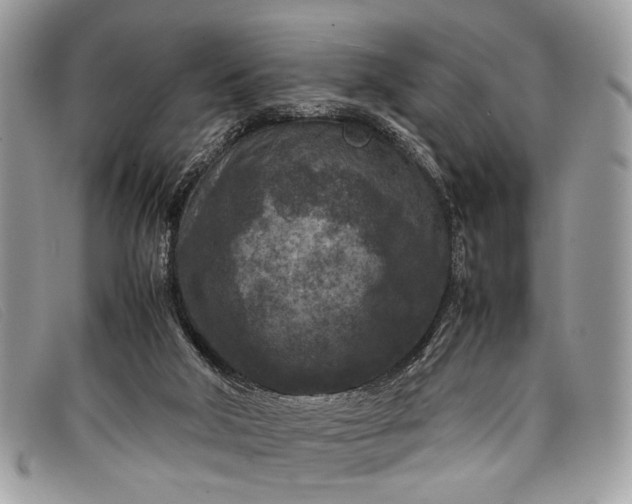 X0000098020018200804111309