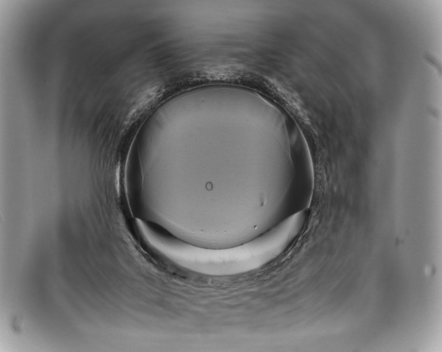 X0000098020019200804111309