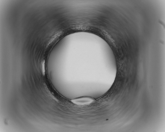 X0000098020020200804111309