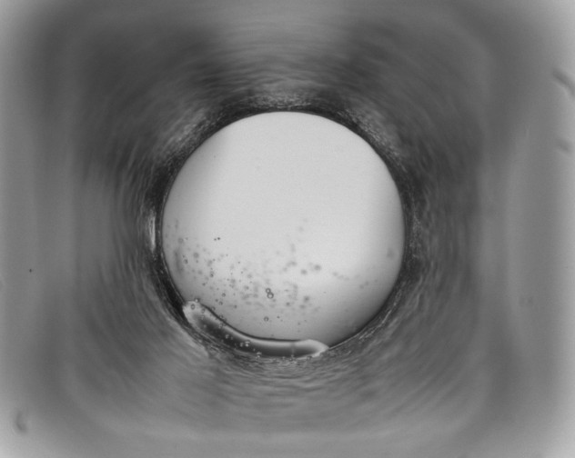 X0000098020021200804111309